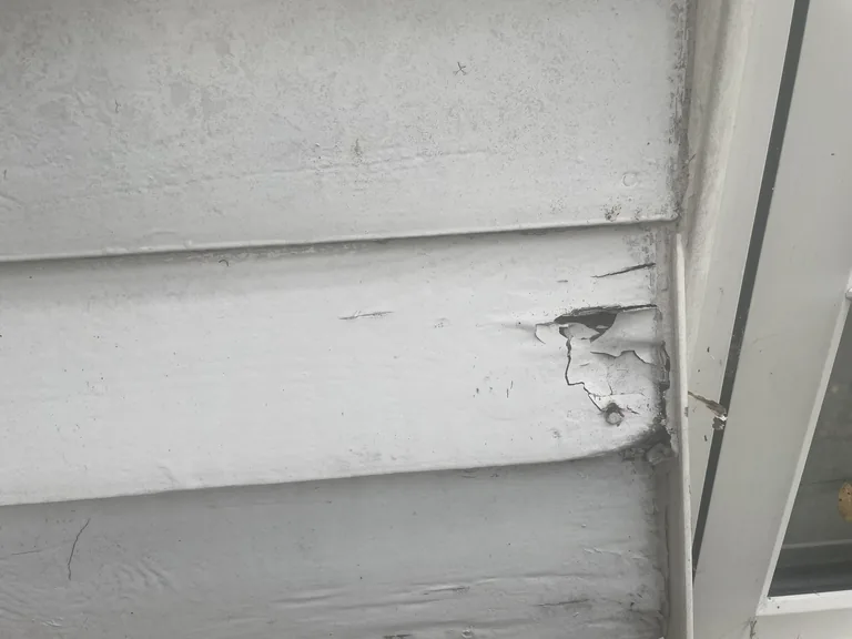 Close-up of a rotten timber weatherboard before replacement in Mountfield