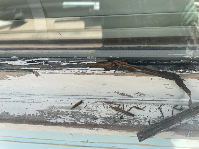 Hidden timber decay uncovered around a window during weatherboard restoration in Biddenden